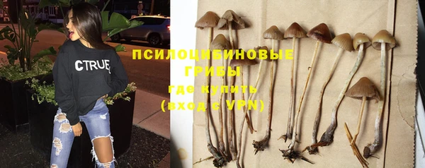 хмурый Бронницы